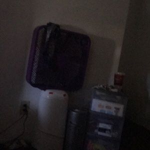 Meet your Posher, Precious